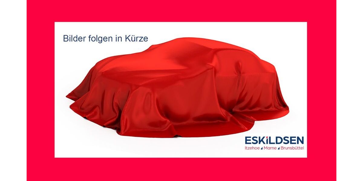 Skoda Scala 8.000 km 31.970 &euro; Marne 25709
