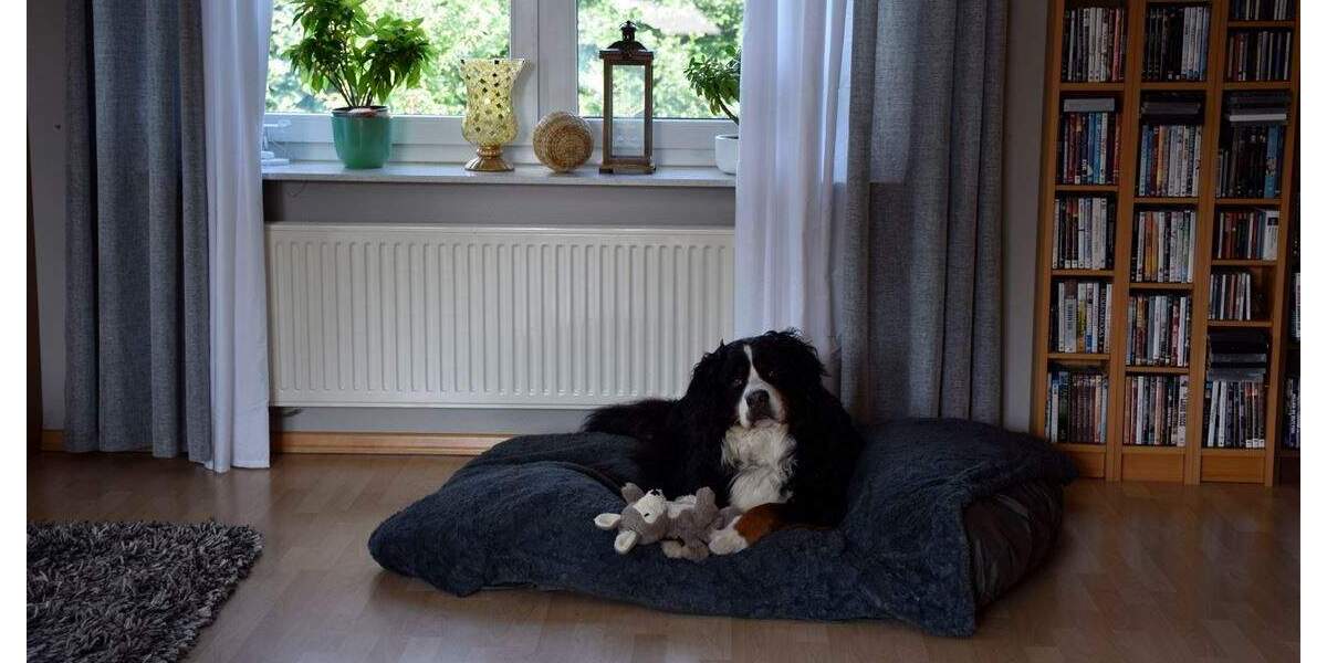 Einfamilienhaus Bülkau - 5 Zimmer, 286 m&sup2;, 859.000&euro; | Angebot:25770280