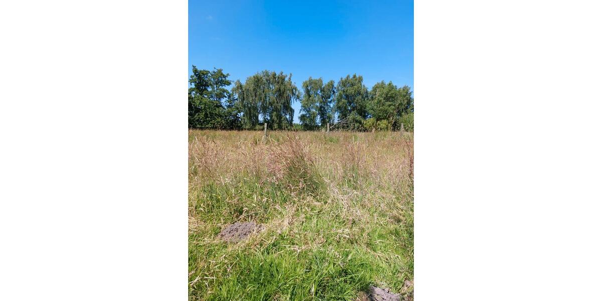 Einfamilienhaus Brunsbüttel - 4.5 Zimmer, 100 m&sup2;, 168.000&euro; | Angebot:26038872