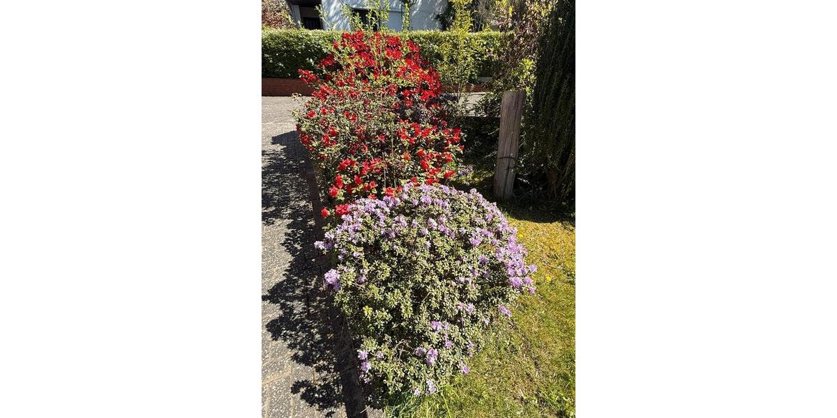 Einfamilienhaus Cadenberge - 6 Zimmer, 110 m&sup2;, 278.500&euro; | Angebot:26940186