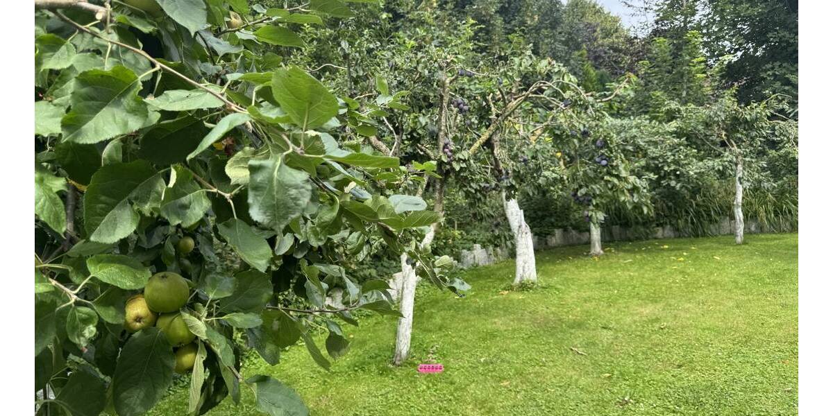 Mehrfamilienhaus, Wohnhaus Kronprinzenkoog - 2 Zimmer, 552 m&sup2;, 849.000&euro; | Angebot:25697270