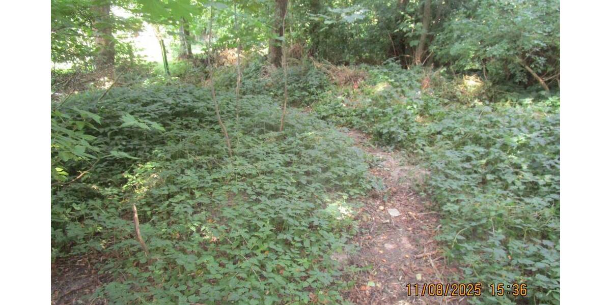 Mehrfamilienhaus, Wohnhaus Belum - 260.000&euro; | Angebot:25698337