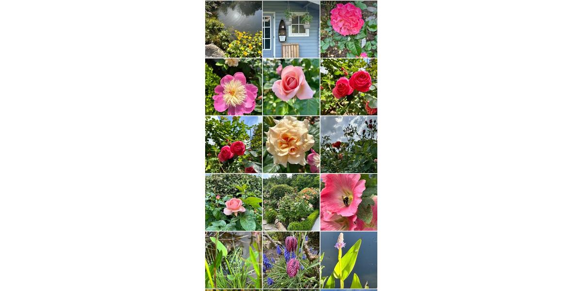 Einfamilienhaus Cuxhaven Groden - 6 Zimmer, 160 m&sup2;, 495.000&euro; | Angebot:26123020