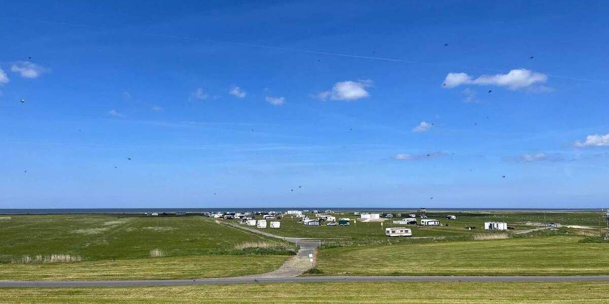 Ferienhaus Wurster Nordseeküste Cappel-Neufeld - 2 Zimmer, 56 m&sup2;, 85.000&euro; | Angebot:25778020