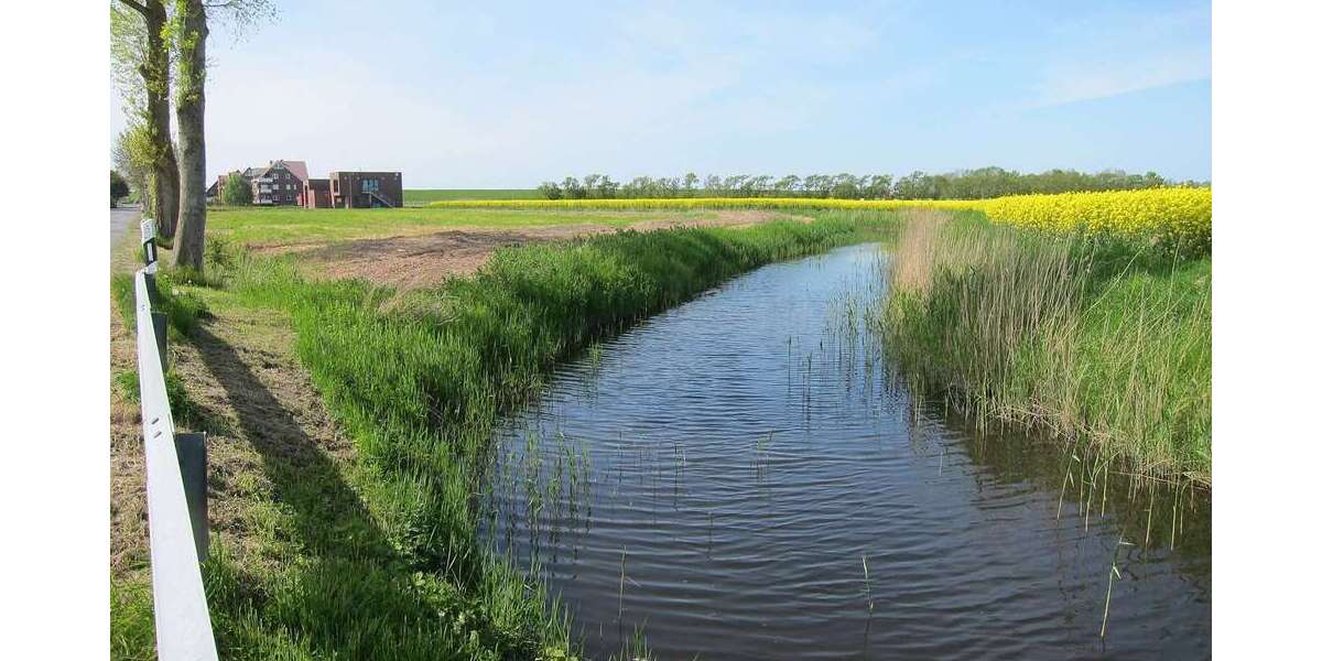 Grundstück Wurster Nordseeküste Cappel-Altendeich - 186.000&euro; | Angebot:22499726