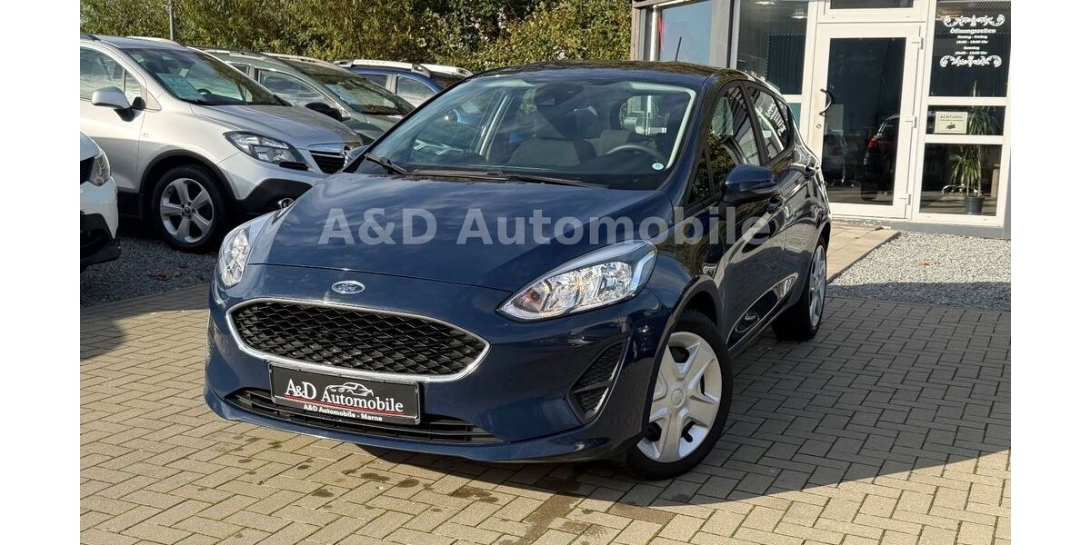 Ford Fiesta 69.386 km 9.890 &euro; Marne 25709