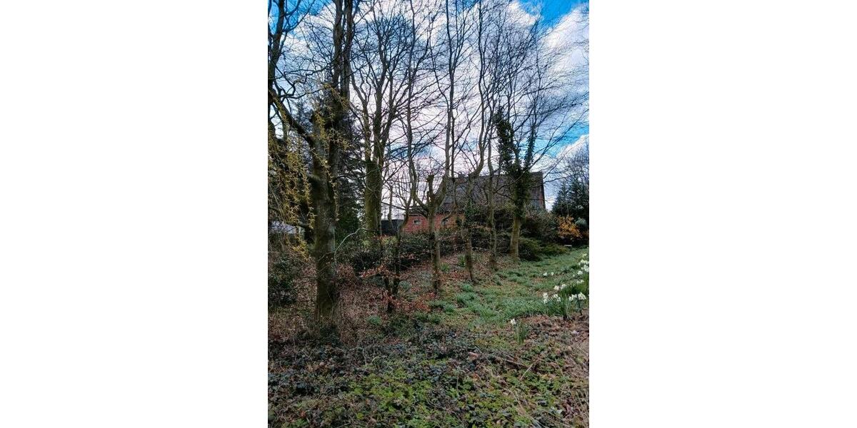 Einfamilienhaus Neuhaus (Oste) - 1 Zimmer, 135 m&sup2;, 1.050&euro; | Angebot:26051494