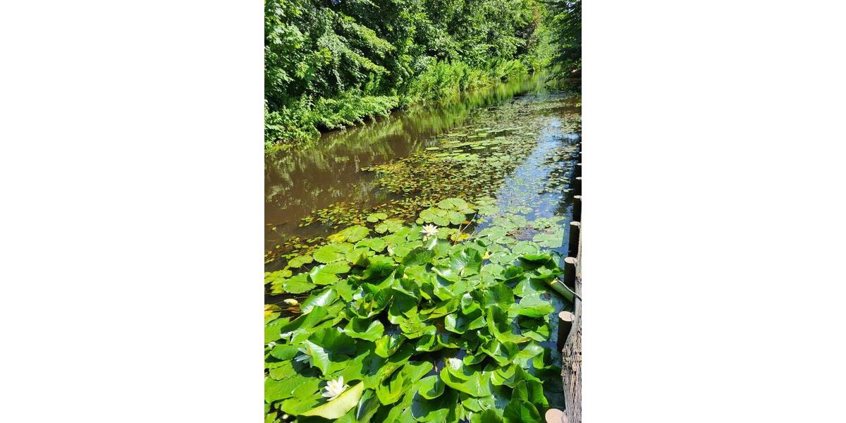 Einfamilienhaus Cuxhaven Groden - 330.000&euro; | Angebot:24110518