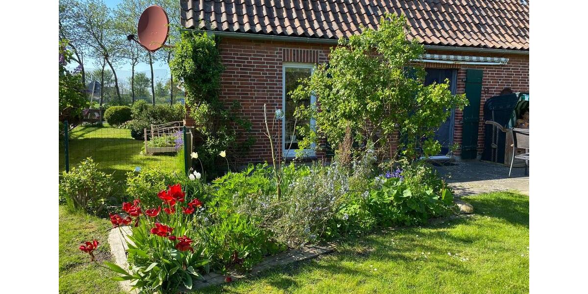 Einfamilienhaus Friedrichskoog - 175.000&euro; | Angebot:25843371