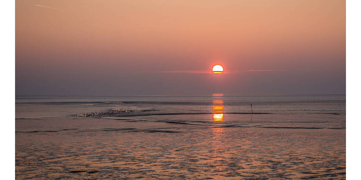 Reihenmittelhaus Friedrichskoog-Spitze Spitze - 3 Zimmer, 80 m&sup2;, 235.000&euro; | Angebot:25697302