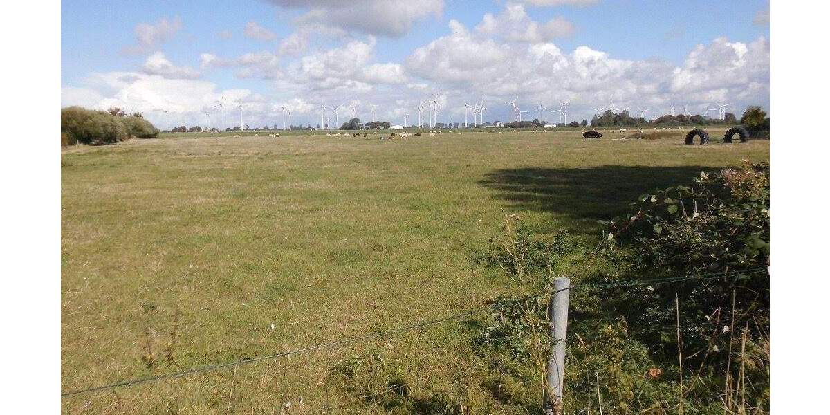 Grundstück Friedrichskoog - 129.000&euro; | Angebot:25771591