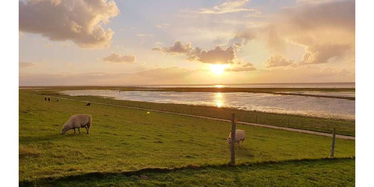 Einfamilienhaus Wurster Nordseeküste - Dorum Neufeld Dorum Neufeld - 3 Zimmer, 55 m&sup2;, 190.000&euro; | Angebot:27013845