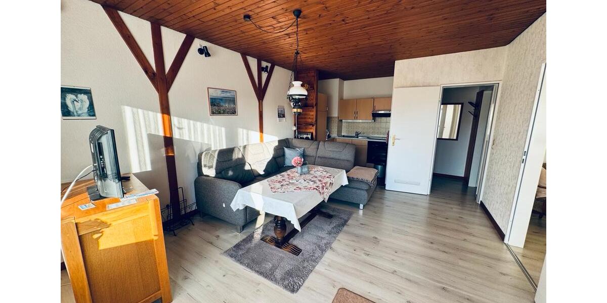 Mehrfamilienhaus, Wohnhaus Marne - 14 Zimmer, 273 m&sup2;, 330.000&euro; | Angebot:25292762