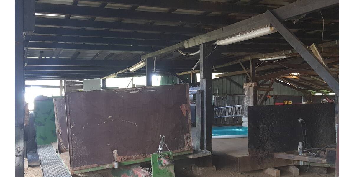 Mehrfamilienhaus, Wohnhaus Busenwurth - 7 Zimmer, 180 m&sup2;, 329.000&euro; | Angebot:25697261