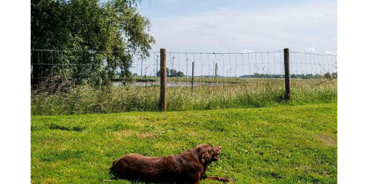 Einfamilienhaus Cadenberge - 5 Zimmer, 92 m&sup2;, 325.000&euro; | Angebot:25834854