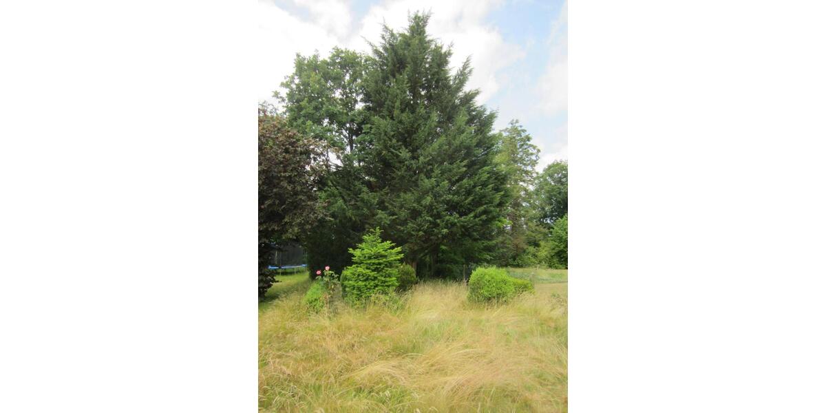 Etagenwohnung Cadenberge - 3 Zimmer, 90 m&sup2;, 825&euro; | Angebot:25759110