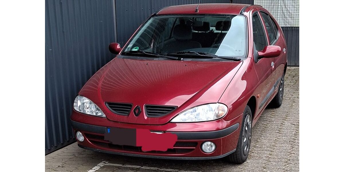 Renault Megane 120.000 km 1.799 &euro; Balje 21730