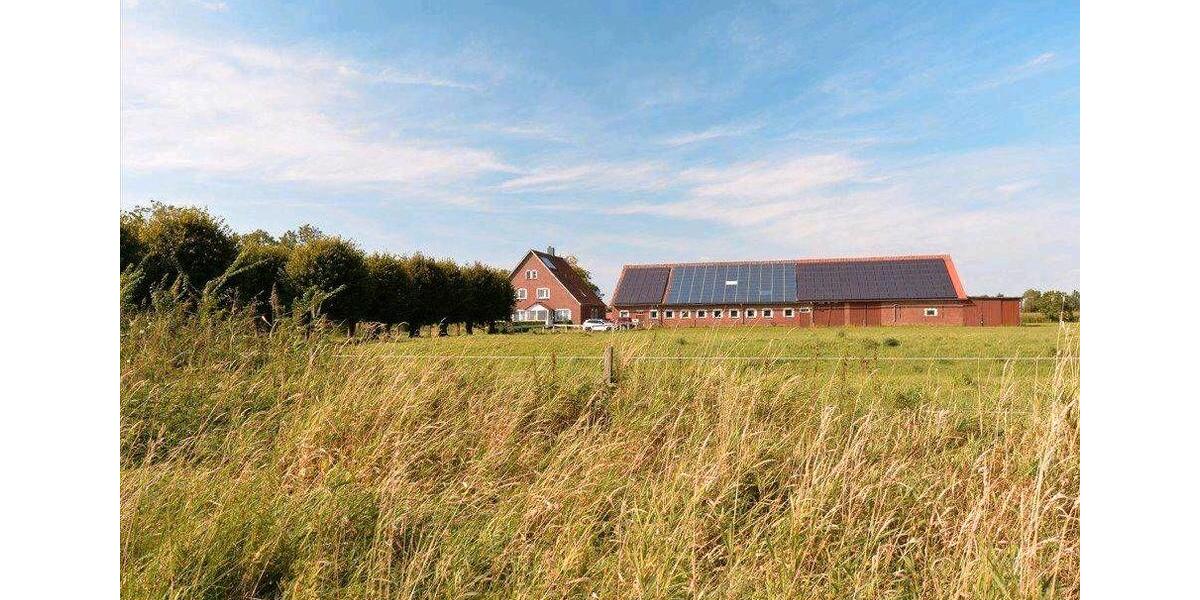Einfamilienhaus Neuhaus (Oste) - 8 Zimmer, 310 m&sup2;, 395.000&euro; | Angebot:27028550
