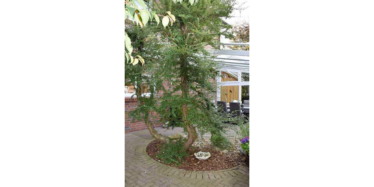 Gewerbeobjekt Bülkau - 859.000&euro; | Angebot:25770279