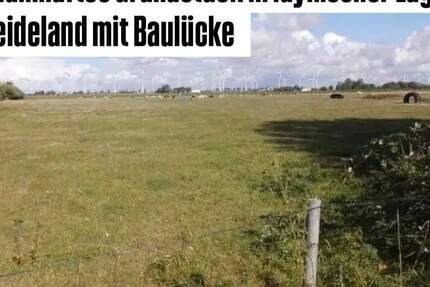 Grundstück Friedrichskoog - 129.000&euro; | Angebot:25771591