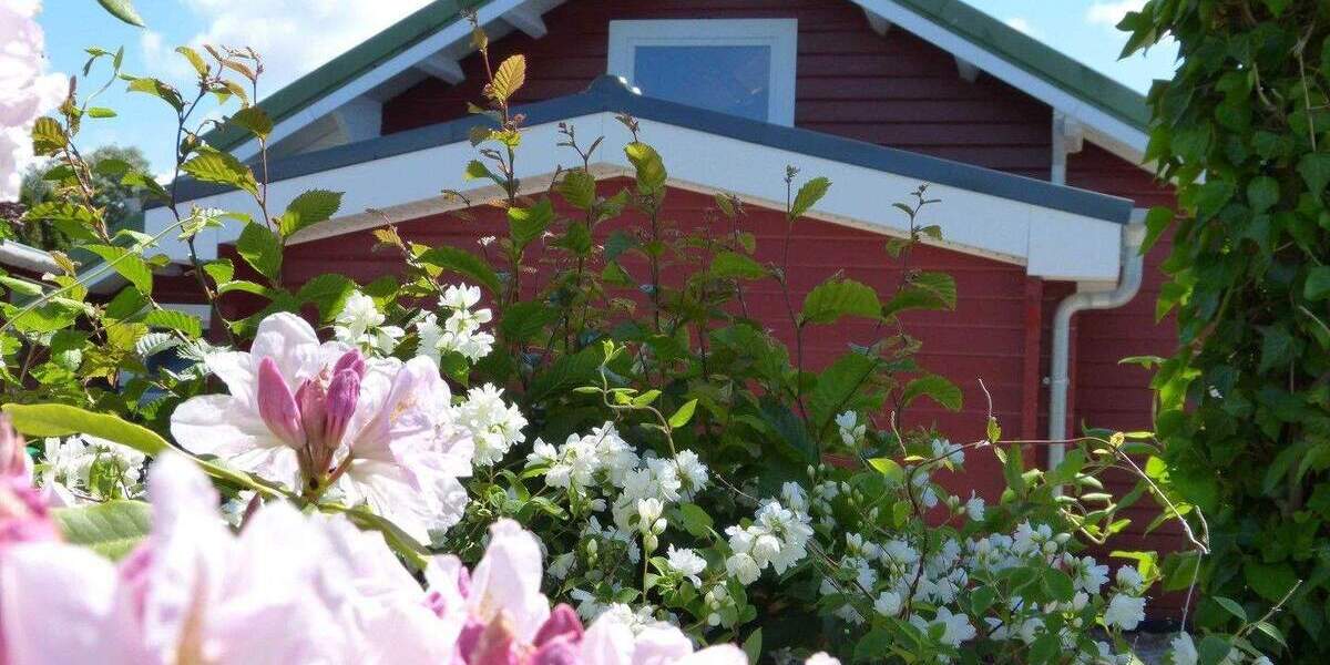 Mehrfamilienhaus, Wohnhaus Neuhaus - 6 Zimmer, 70 m&sup2;, 158.000&euro; | Angebot:25755925