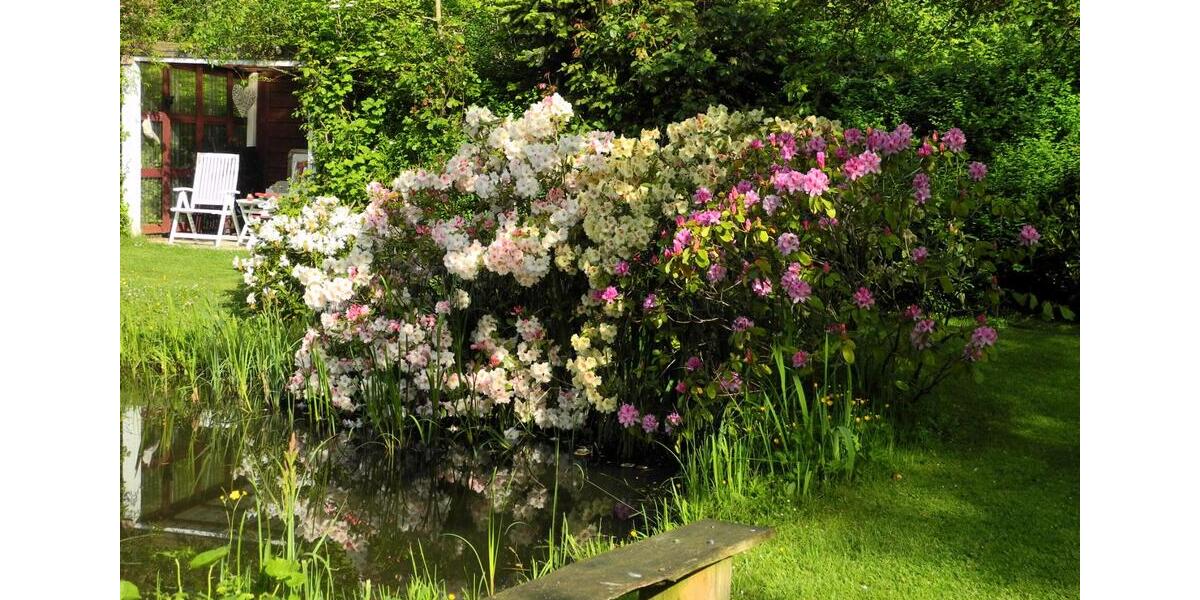 Einfamilienhaus Cadenberge - 7 Zimmer, 220 m&sup2;, 359.000&euro; | Angebot:26024319