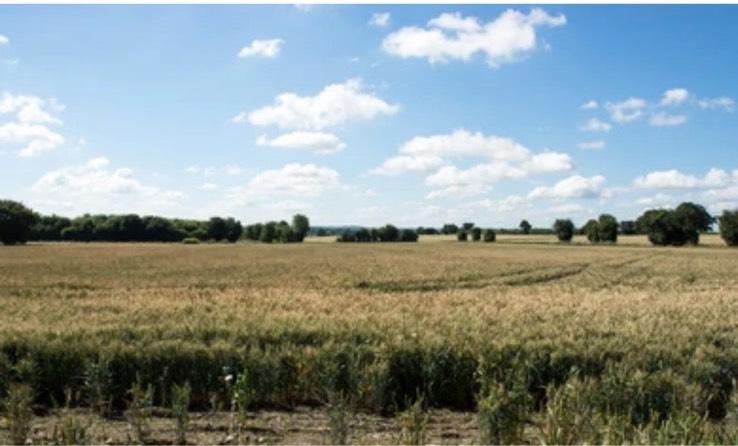 Doppelhaushälfte Stinstedt - 5 Zimmer, 120 m&sup2;, 1.200&euro; | Angebot:25819107