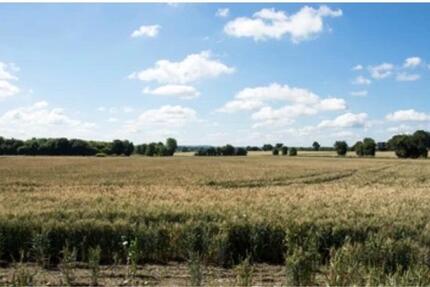 Haus Stinstedt - 5 Zimmer, 120 m&sup2;, 1.200&euro; | Angebot:25819107