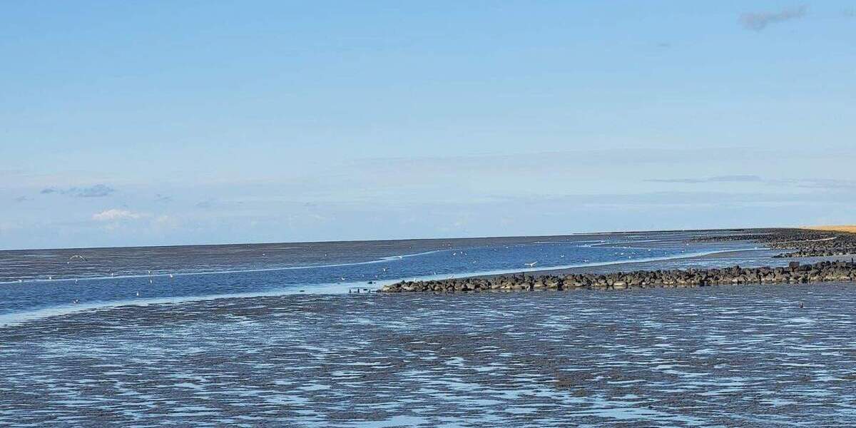 Ferienhaus Wurster Nordseeküste Cappel-Neufeld - 2 Zimmer, 56 m&sup2;, 85.000&euro; | Angebot:25778020