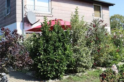 Haus Cuxhaven Groden - 4.5 Zimmer, 116 m&sup2;, 135.000&euro; | Angebot:22923082