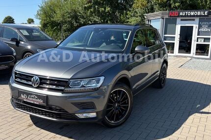 VW Tiguan 132.042 km 17.490 &euro; Marne 25709