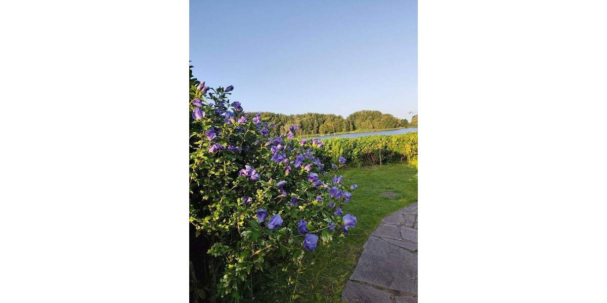 Mehrfamilienhaus, Wohnhaus Neuhaus - 6 Zimmer, 70 m&sup2;, 158.000&euro; | Angebot:25755925