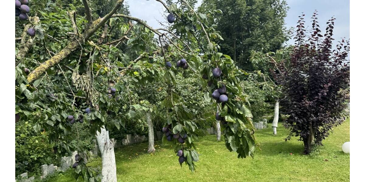 Mehrfamilienhaus, Wohnhaus Kronprinzenkoog - 2 Zimmer, 552 m&sup2;, 849.000&euro; | Angebot:25697270