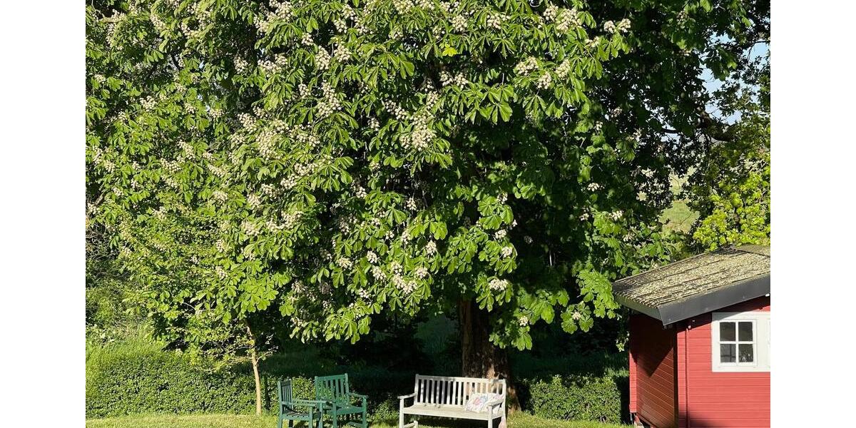 Terrassenwohnung Wurster Nordseeküste - 4 Zimmer, 180 m&sup2;, 1.085&euro; | Angebot:25894555