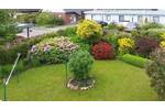 Bungalow Cuxhaven Altenwalde - 5 Zimmer, 150 m&sup2;, 348.000&euro; | Angebot:25664943