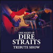 One Night of Dire Straits - Tribute Show 20.02.2027 Kugelbake-Halle