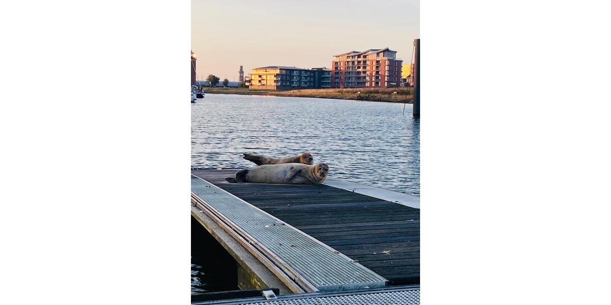 Einfamilienhaus Cuxhaven - 6 Zimmer, 152 m&sup2;, 469.000&euro; | Angebot:25997857