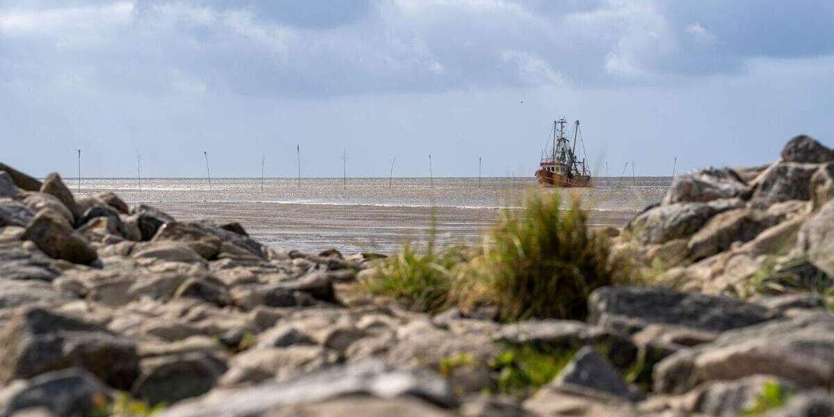 Mehrfamilienhaus, Wohnhaus Wurster Nordseeküste Neufeld - 3 Zimmer, 67 m&sup2;, 239.000&euro; | Angebot:25682781